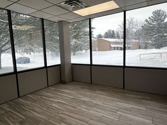 Interior, Sun Room, Wood Texture Flooring