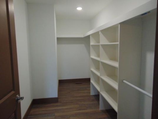 Interior, Recessed Lighting, Walk-in Closets, Wood Texture Flooring