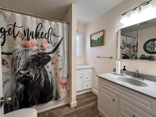 Bathroom, Interior, Wood Texture Flooring