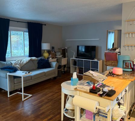 Dining room, Interior, Living room, Wood Texture Flooring
