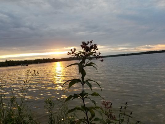 Exterior, Lake