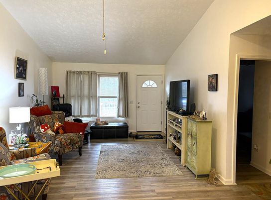 Interior, Living room, Wood Texture Flooring