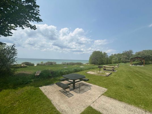 Backyard, Exterior, Water