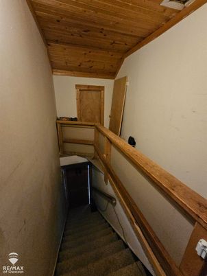 Interior, Wooden Ceilings
