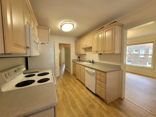 Interior, Kitchen, Wood Texture Flooring