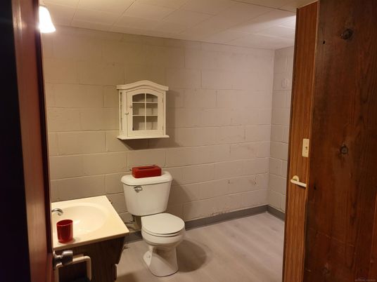 Bathroom, Interior, Wood Texture Flooring