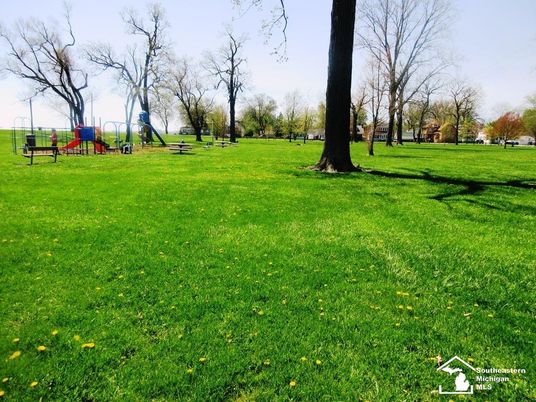 Backyard, Exterior, Playground