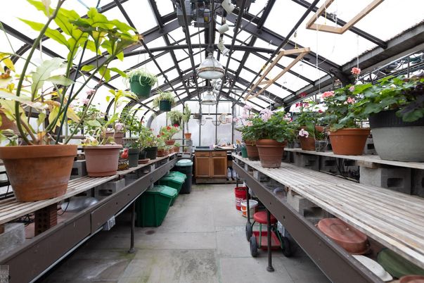 Glass Ceilings, Interior, Sun Room
