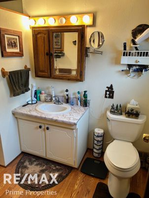 Bathroom, Dual Sink Vanities, Interior, Wood Texture Flooring