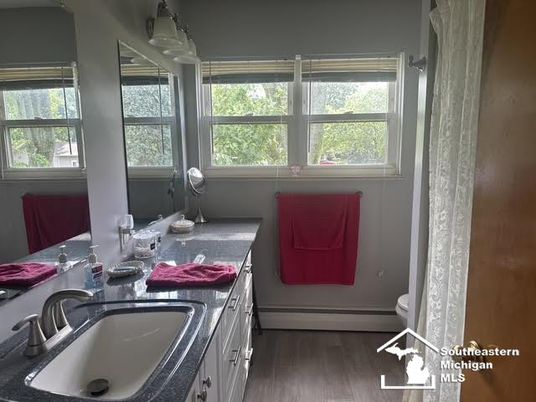 Bathroom, Interior, Wood Texture Flooring
