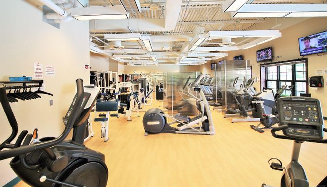 Fitness Equipment, Gym, Interior, Wood Texture Flooring