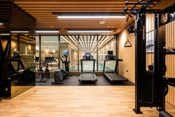 Fitness Equipment, Gym, Interior, Wood Texture Flooring