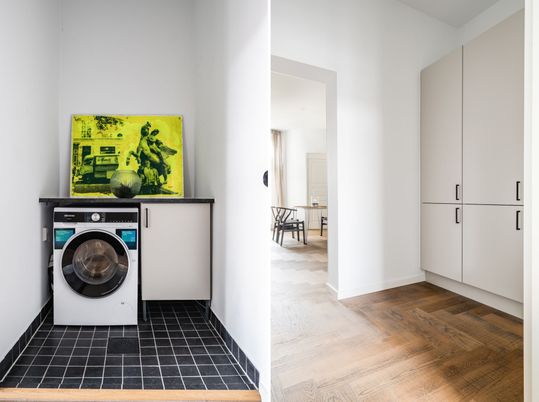 Interior, Washer, Wood Texture Flooring