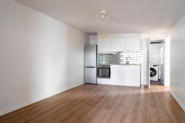 Interior, Kitchen, Washer, Wood Texture Flooring