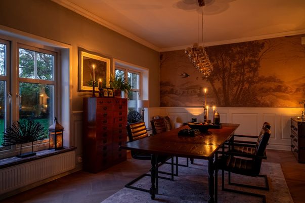 Dining room, Interior, Pendant Lights, Wood Texture Flooring