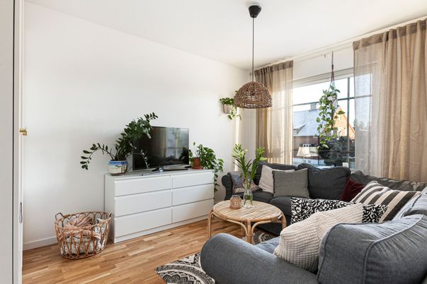 Interior, Living room, Pendant Lights, Wood Texture Flooring