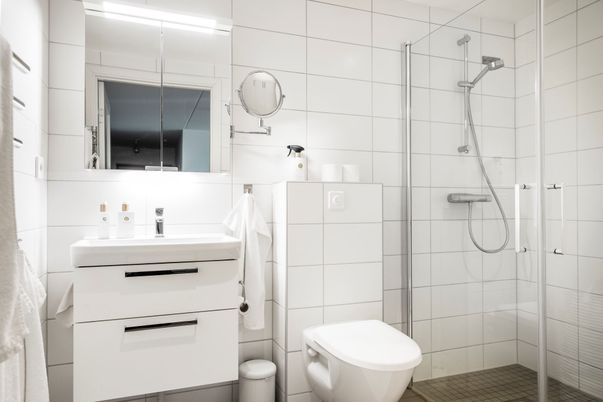 Bathroom, Glass Shower, Interior