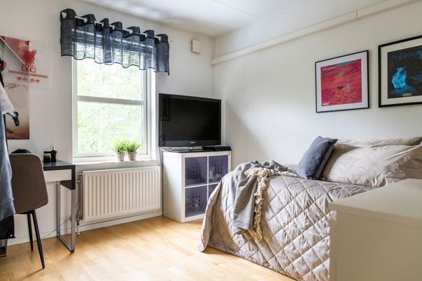 Bedroom, Home Office, Interior, Wood Texture Flooring