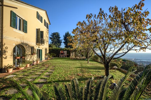 Backyard, Exterior, Water