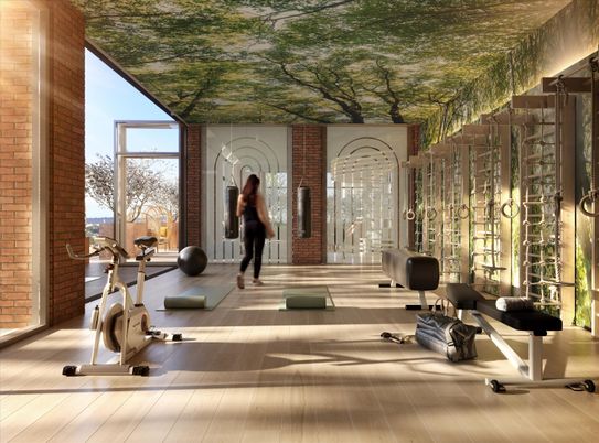 Fitness Equipment, Interior, Wood Texture Flooring