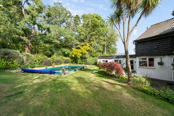 Backyard, Exterior, Pool
