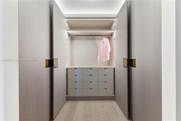 Interior, Walk-in Closets, Wood Texture Flooring