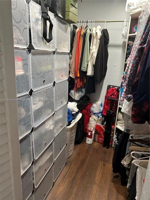 Interior, Walk-in Closets, Wood Texture Flooring