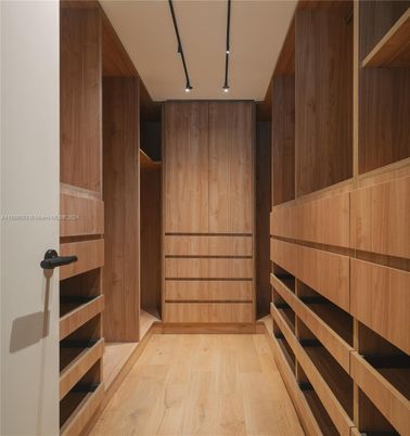 Interior, Walk-in Closets, Wood Texture Flooring