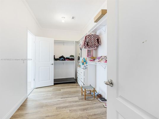 Interior, Walk-in Closets, Wood Texture Flooring