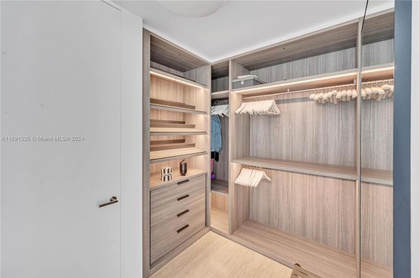 Interior, Walk-in Closets, Wood Texture Flooring