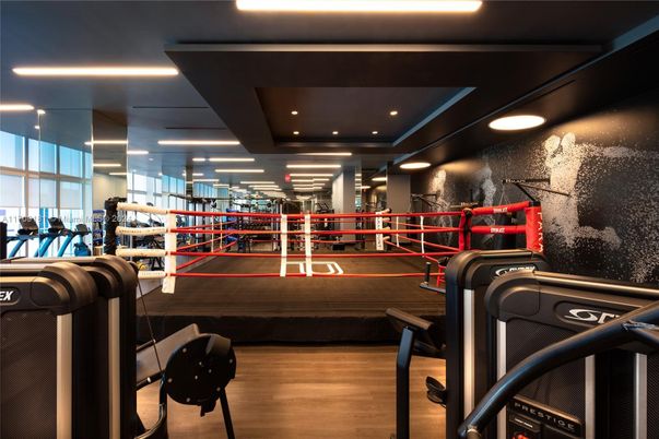 Fitness Equipment, Interior, Recessed Lighting, Wood Texture Flooring