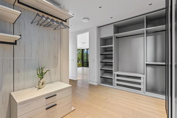 Interior, Walk-in Closets, Wood Texture Flooring