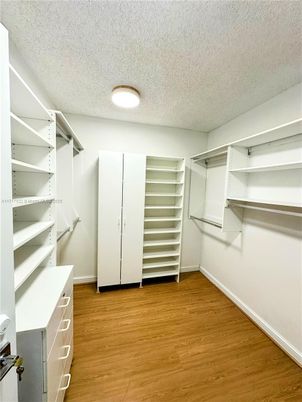 Interior, Walk-in Closets, Wood Texture Flooring