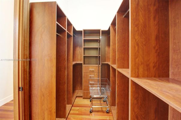 Interior, Walk-in Closets, Wood Texture Flooring