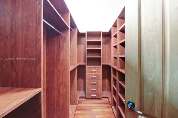 Interior, Walk-in Closets, Wood Texture Flooring