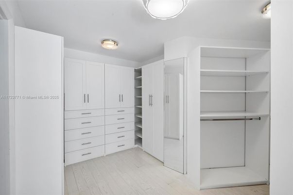 Interior, Walk-in Closets, Wood Texture Flooring