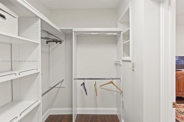 Interior, Walk-in Closets, Wood Texture Flooring