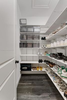 Interior, Walk-in Closets, Wood Texture Flooring