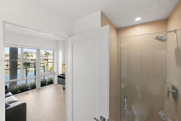 Bathroom, Interior, Recessed Lighting, Wood Texture Flooring