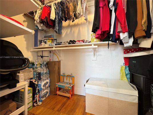 Interior, Walk-in Closets, Wood Texture Flooring