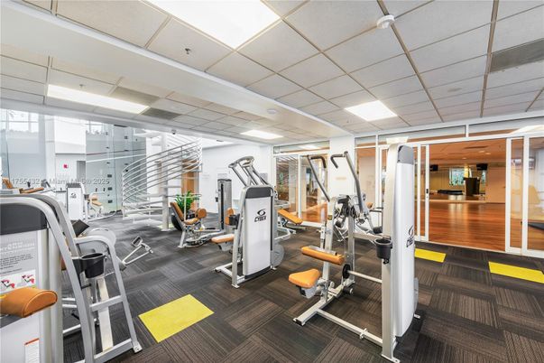 Fitness Equipment, Gym, Interior, Recessed Lighting, Wood Texture Flooring