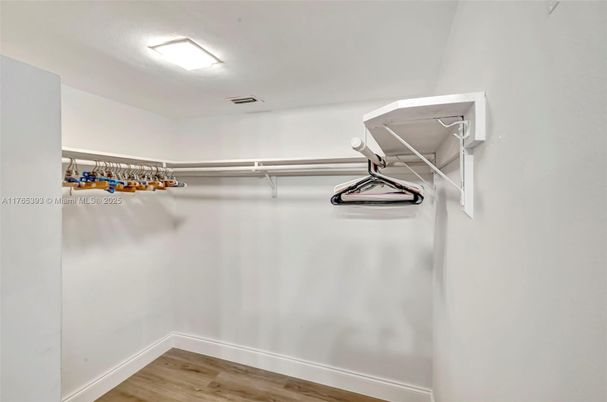 Interior, Walk-in Closets, Wood Texture Flooring