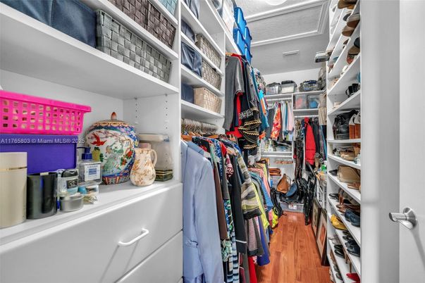 Interior, Walk-in Closets, Wood Texture Flooring