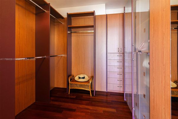 Interior, Walk-in Closets, Wood Texture Flooring