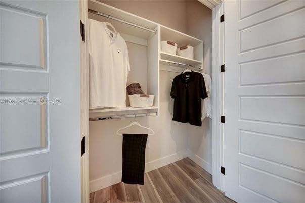 Interior, Walk-in Closets, Wood Texture Flooring
