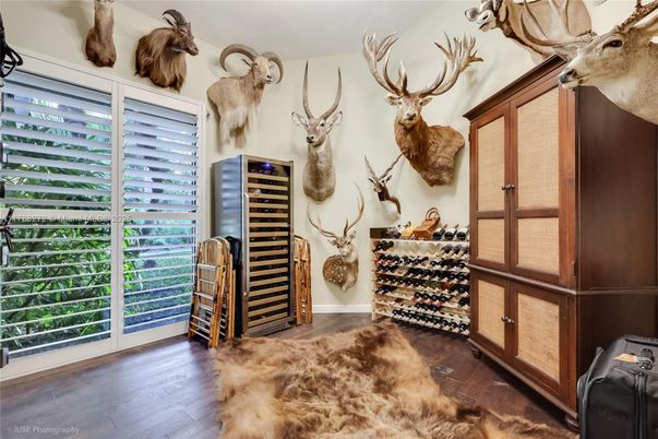 Interior, Wine Storage, Wood Texture Flooring
