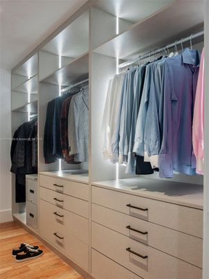 Interior, Walk-in Closets, Wood Texture Flooring
