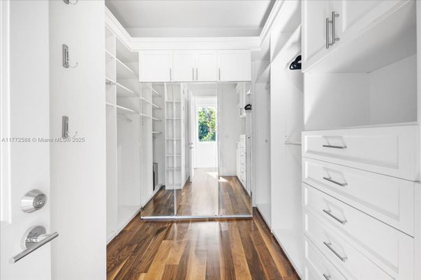 Interior, Walk-in Closets, Wood Texture Flooring