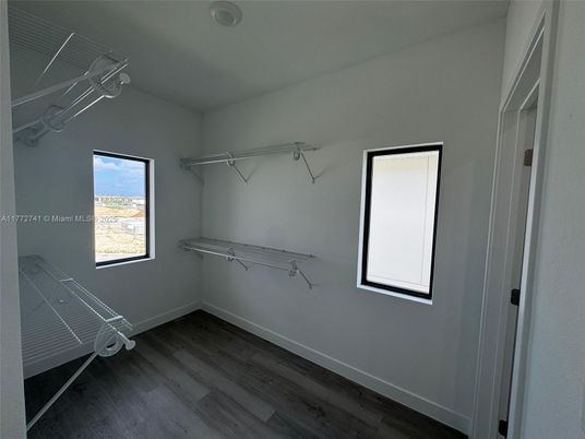 Interior, Walk-in Closets, Wood Texture Flooring