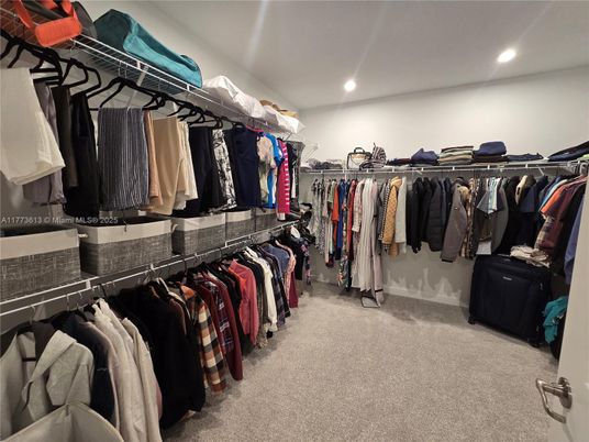 Interior, Recessed Lighting, Walk-in Closets